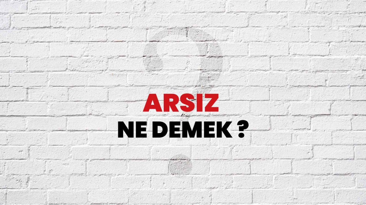Arsız ne demek?