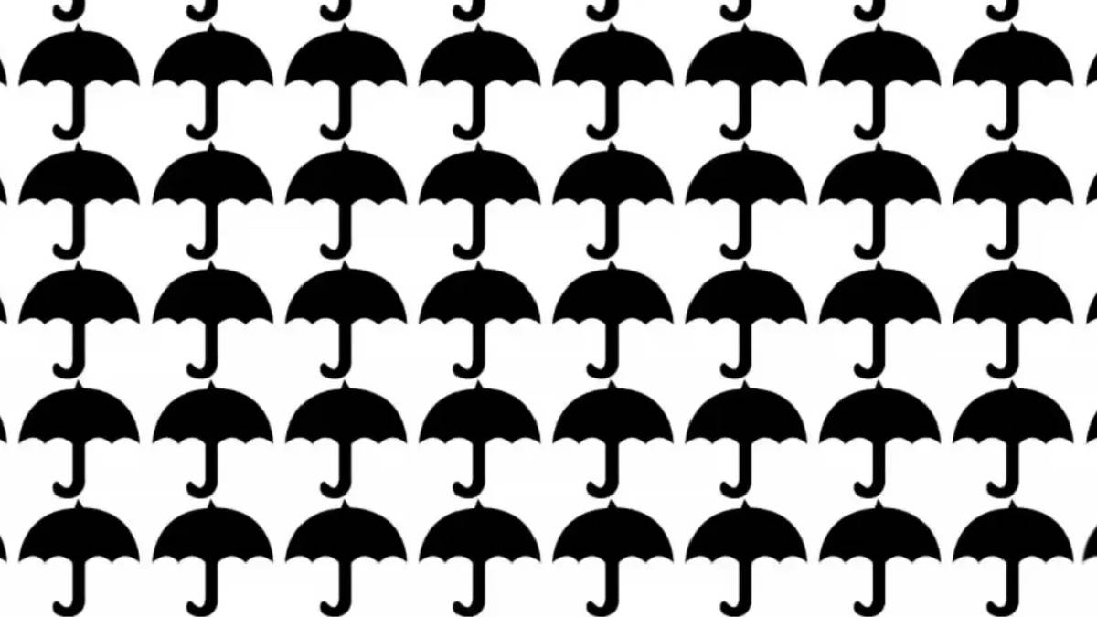 Farklı şemsiyeyi 15 saniyede bulanlar üstün zekalı çıkıyor! İnsanların yalnızca %3’ü bulabiliyor