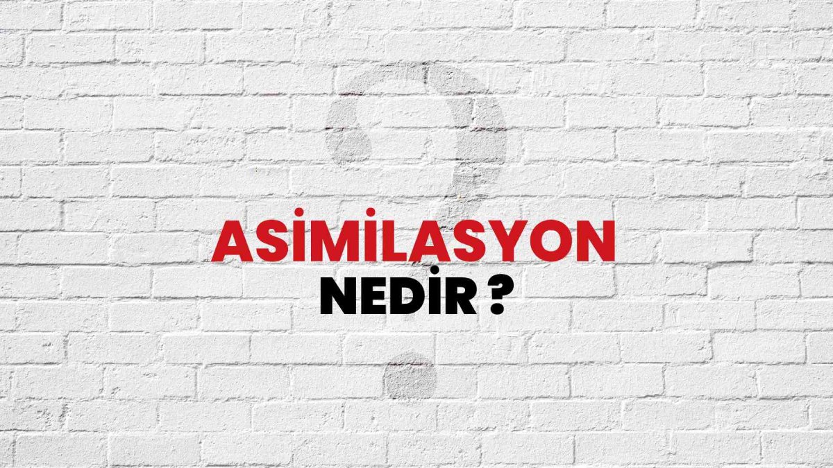 Asimilasyon nedir?