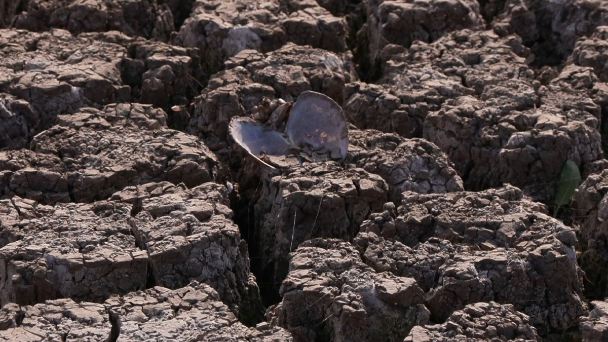 İSKİ verileri korkutan görüntüde! Barajda alınacak su kalmadı