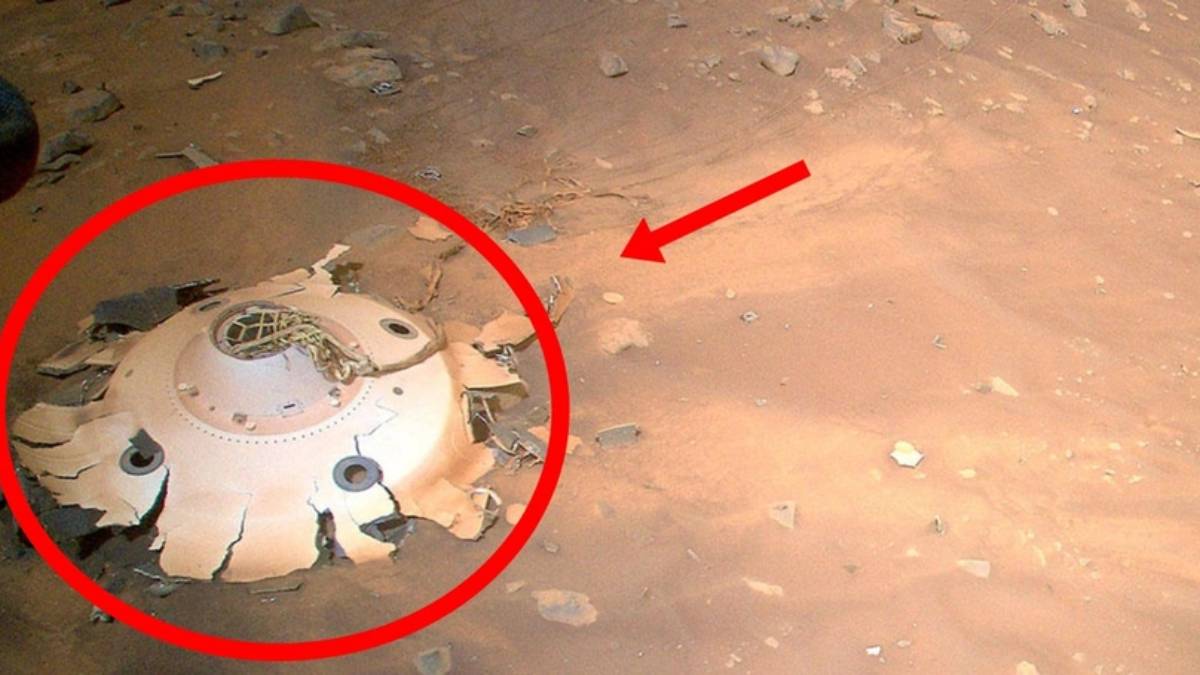 NASA uzaylıların fotoğraflarını paylaştı iddiası! Fotoğrafları görenler 'uzaylılar aramızda' dedi