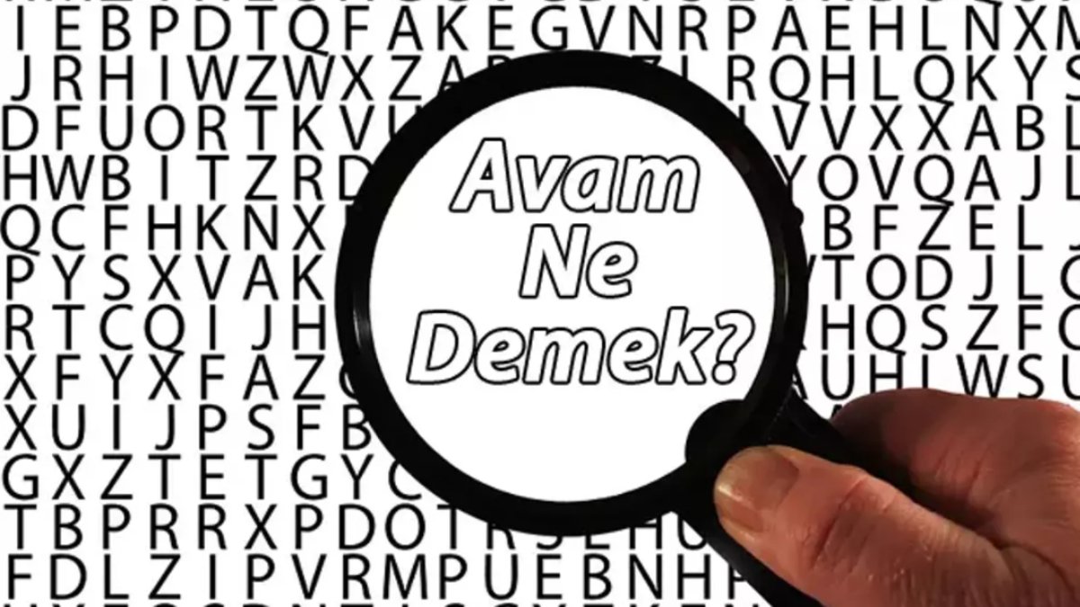 Avam ne demek?