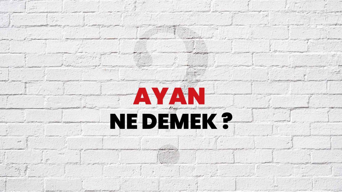 Ayan ne demek?