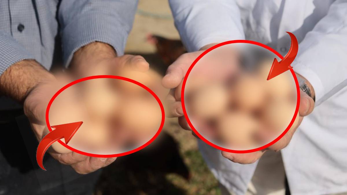 Herkes yapamazsın dedi o azmetti! Şimdi herkes o ürünün peşinde! En organiği orada üretiliyor, pazara girdiği gibi tükeniyor