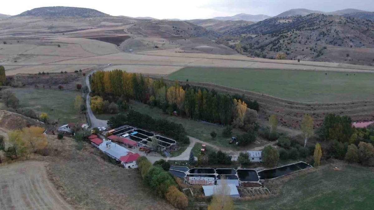 Bataklık araziyi alıp öyle bir şey yaptı ki şimdi para basıyor! Emekli öğretmen 35 ton üretiyor yine de taleplere yetişemiyor