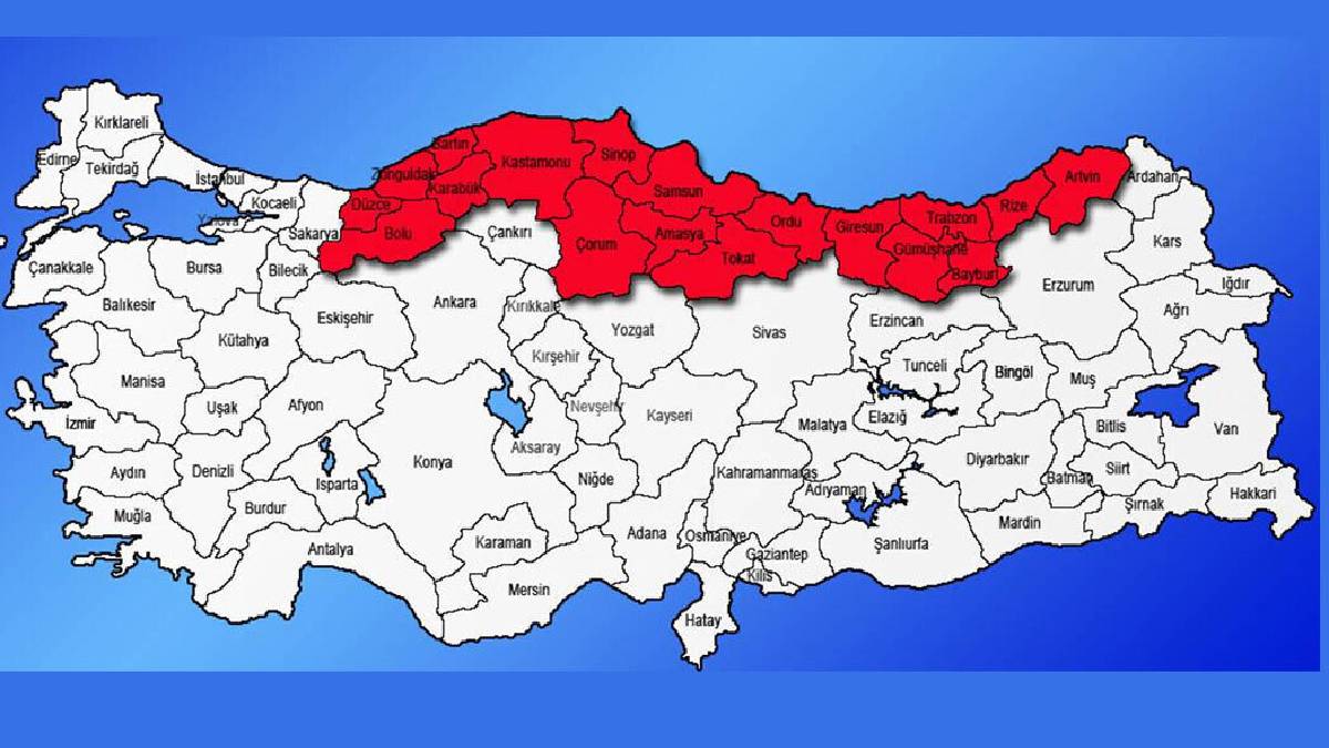 Karadeniz'de "VHS" krizi öldürüyor! Resmen bela oldu: Acil çözüm bulunmazsa sonu felaket...