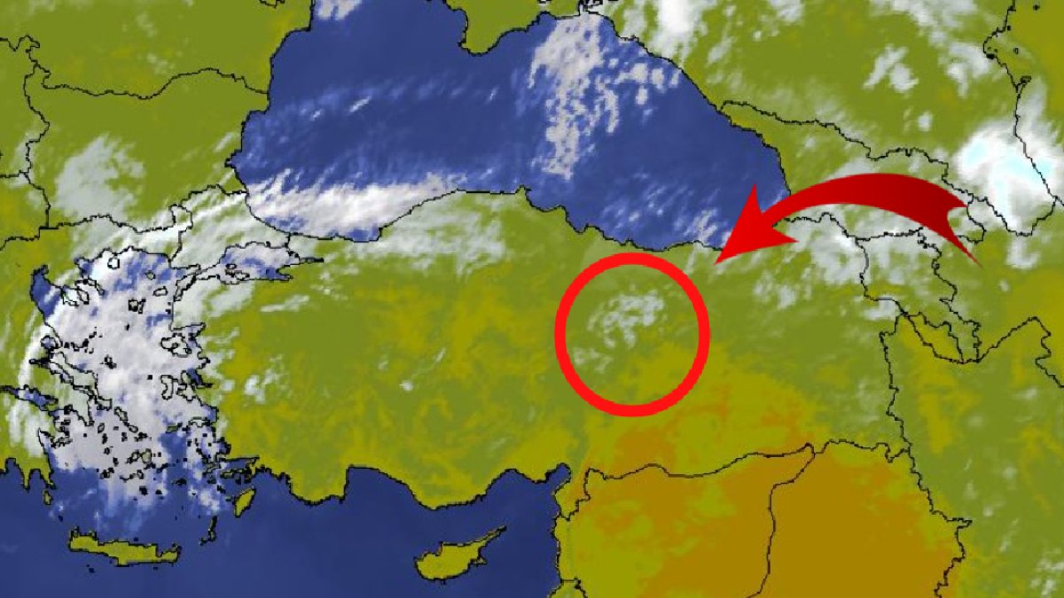 O canavarlar bu kez orada görüntülendi! Orası uğrak yerleriymiş: Neden o kadar korktuğumuz bir kez daha gözler önüne serildi