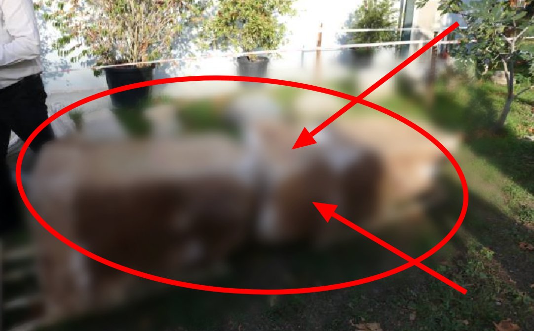 Hafriyat kazısında toprağın altından çıkan şey şok etti! Adeta servet değerinde... 1800 yıllık