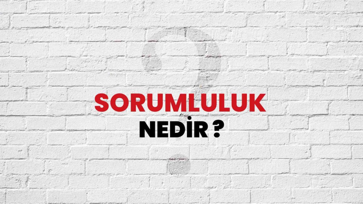 Sorumluluk Nedir: Hayatımızın Önemli Bir Parçası