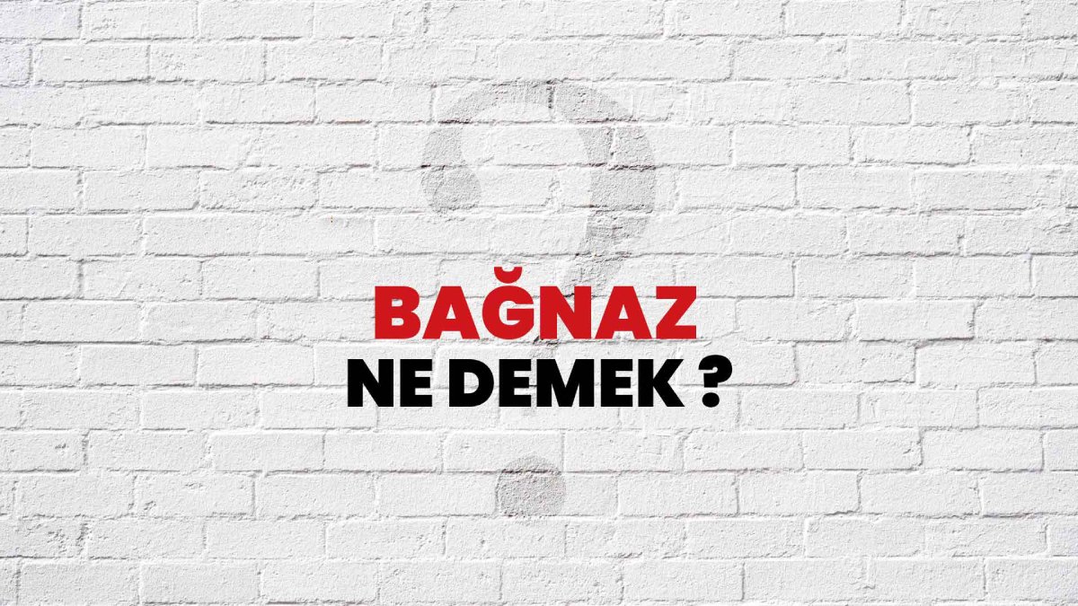 Bağnaz ne demek?