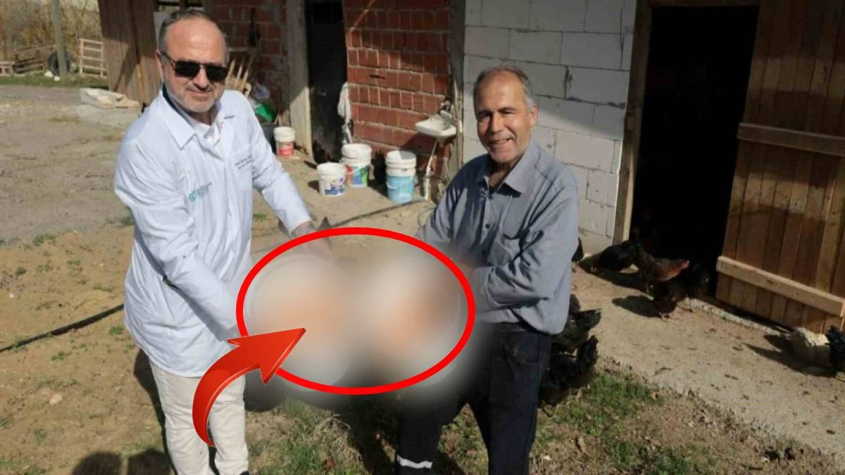 Yüzde 50 hibe desteğiyle başladılar, kimse başaracaklarına inanmadı! Doğal üretimde rekor: Tonlarca para getiriyor