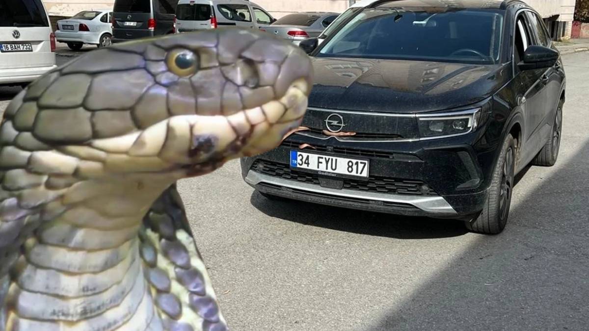 Burası Meksika değil Türkiye! Otomobilin motor bölümüne giren yılan dehşet saçtı... Ekipler çaresi yün yakmakta buldu