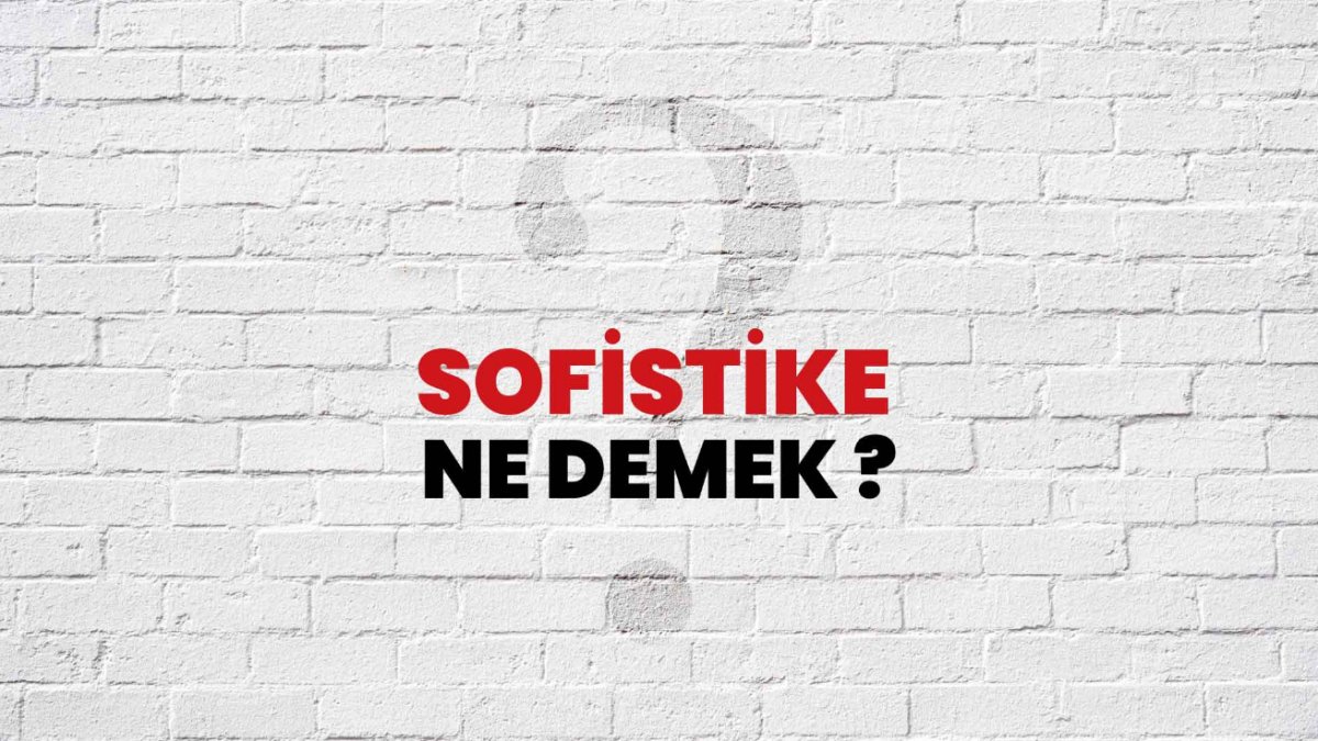 Sofistike Ne Demek?