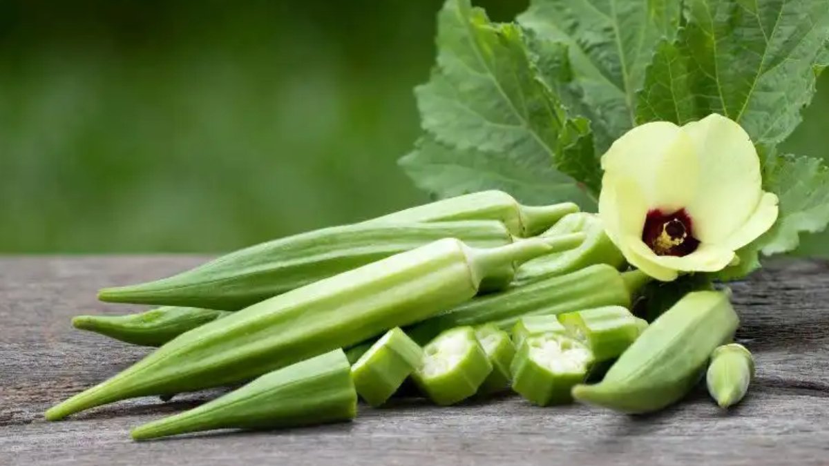 Bamya nasıl ekilir?