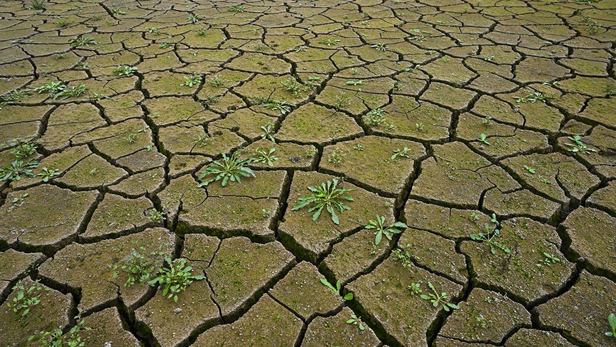 İstanbul'da son yılların en büyük kuraklığı: Barajlar çöle döndü