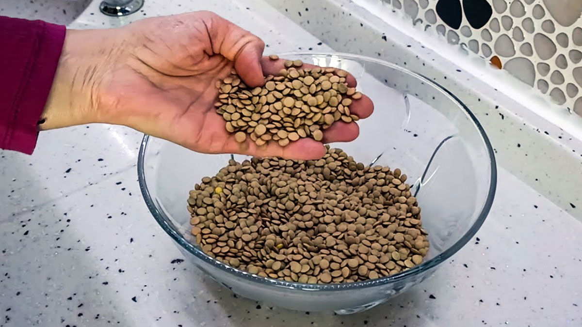 Evde sakladığınız mercimeğin böceklenmesini önlemek meğer bu kadar basitmiş! Kavanoza bir kaşık eklemeniz yeterli