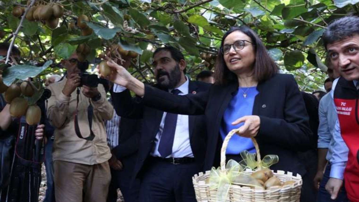 Yalovalılar dip bucak her yere ekiyor! Resmen 24 ayar altın değerinde! Getirisi öyle böyle değil