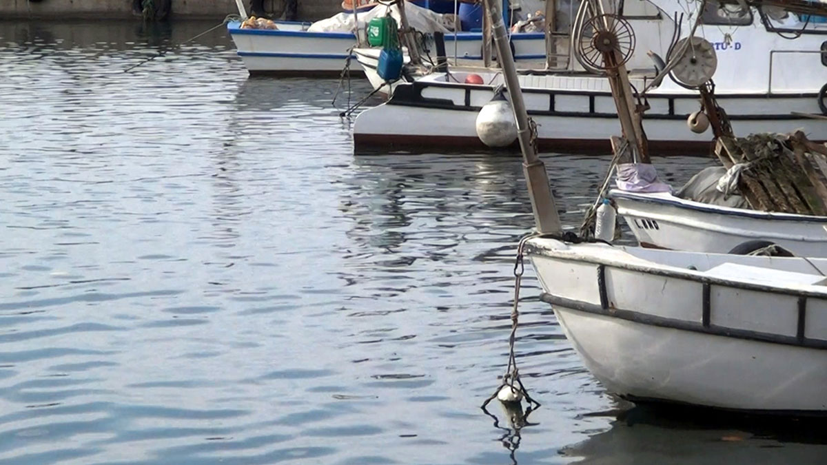 Marmara'da deniz suyu sıcaklığı hala düşmedi: Müsilaj kabusu geri mi geliyor?