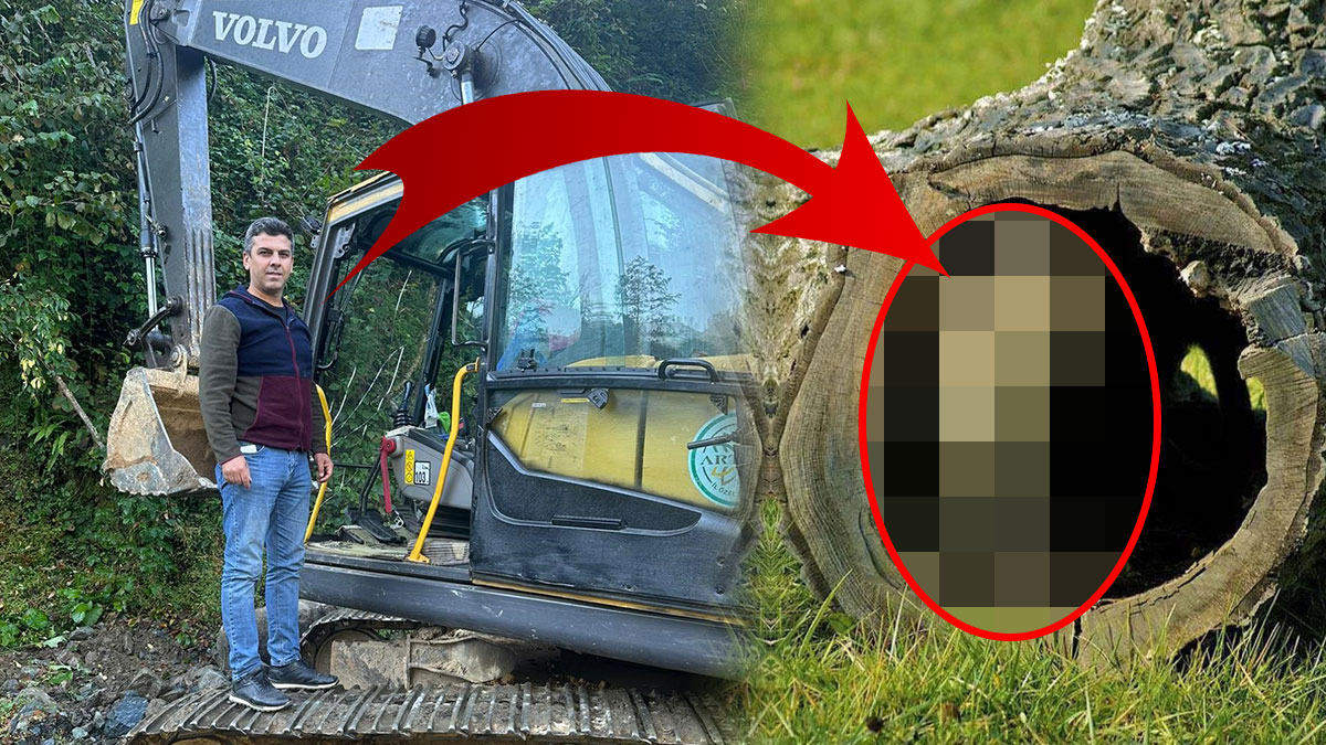 Kepçeyi tam vuracakken ağaç kovuğunda onlarla göz göze geldi! Motoru kapatıp koşarak ekip arkadaşlarına haber verdi