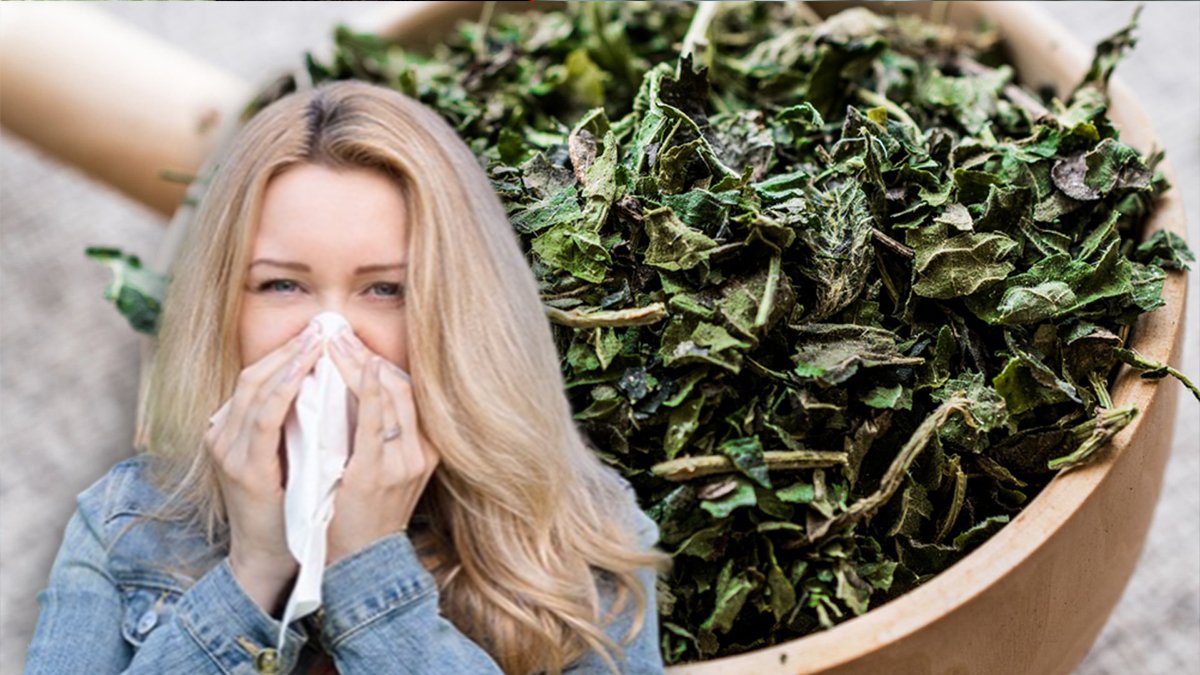 Uzman isim sır gibi sakladığı besini açıkladı! Bu besini tüketene hastalık bir daha uğramıyor!  Portakaldan bile daha faydalı!