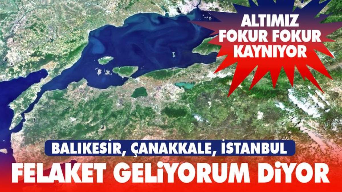 Marmara Denizi fokur fokur! Prof. Dr. Mustafa Sarı: Endişeyle izliyoruz