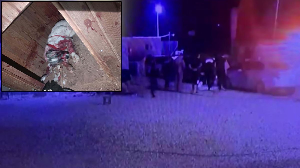 Adıyaman'da vicdanları sızlatan görüntü: Köpeği 10 yerinden bıçaklayıp...