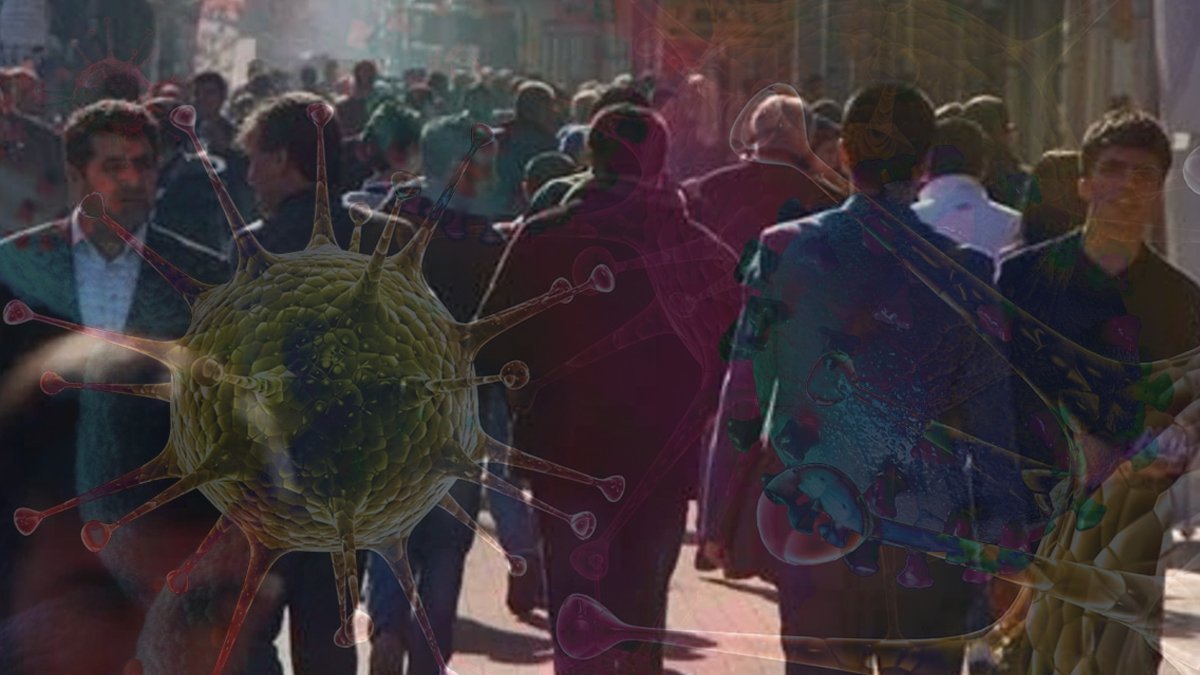 Japon bilim insanları tesadüfen keşfetti: Bu virüs sadece erkekleri öldürüyor