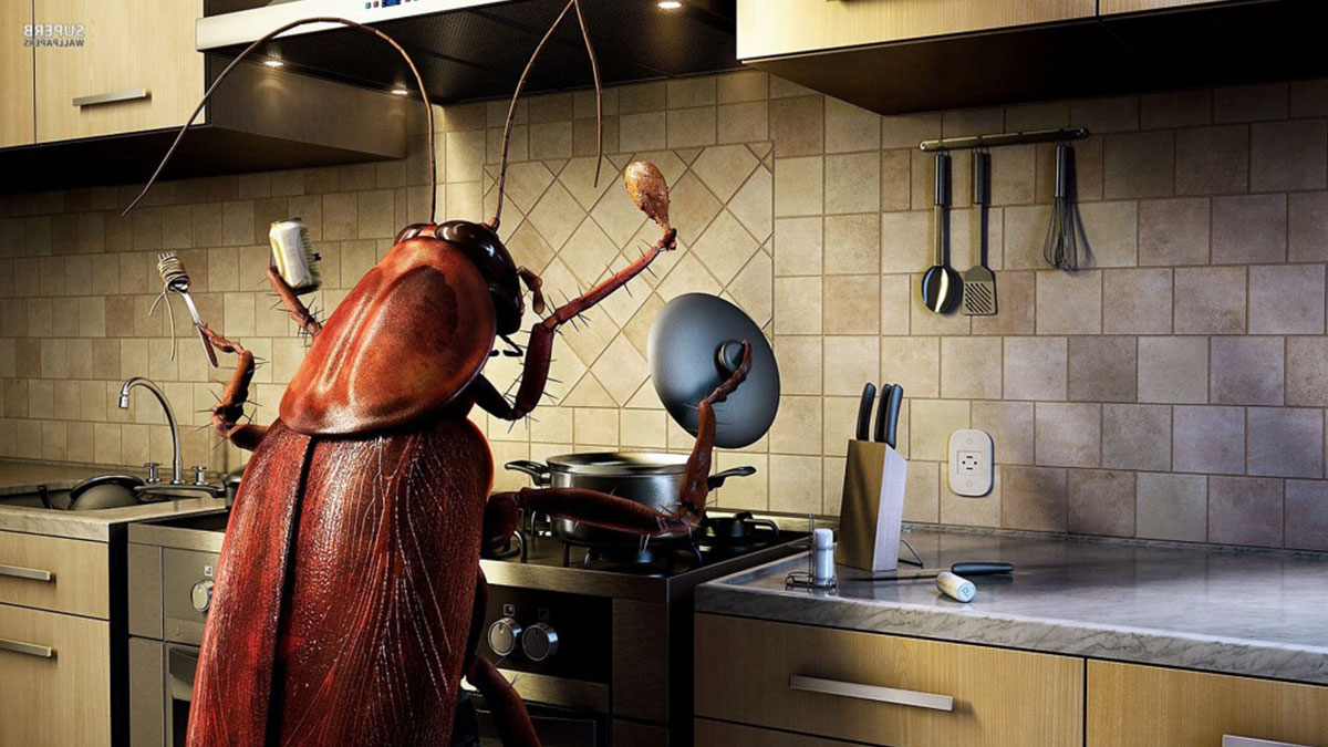 Bu yöntem hamam böceklerini dönmemek üzere evinizden kaçıracak! Meğer kolay yolu varmış