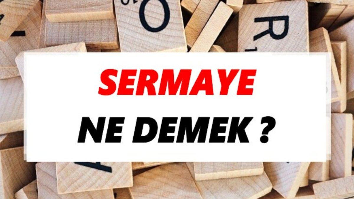 Sermaye Nedir? İşte Sermaye ve Önemi Hakkında Detaylı Bilgi