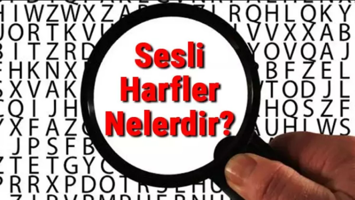 Sesli Harfler: Türk Alfabesinin Sesi ve Özellikleri