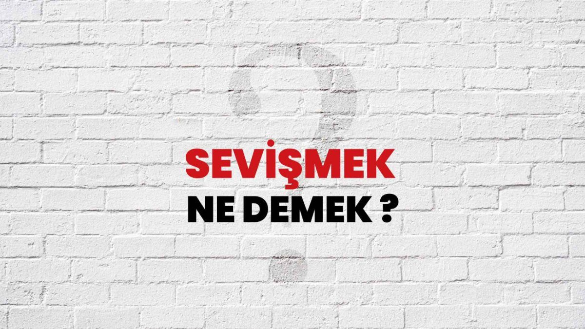 Sevişmek Ne Demek: Tutkulu Bir Aşkın Dilinde