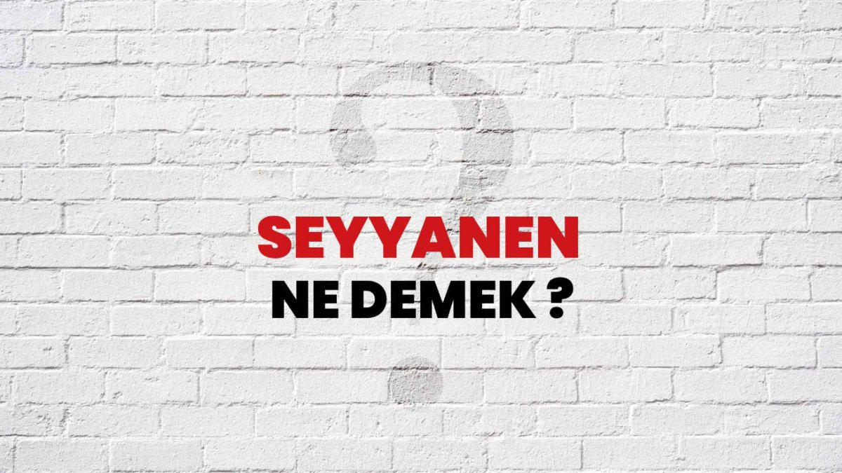 Seyyanen Ne Demek?
