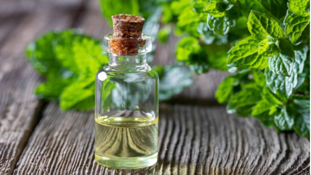Nane yağının faydaları