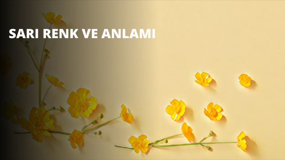 Sarı Renk: Enerji, Mutluluk ve Anlamın Rengi