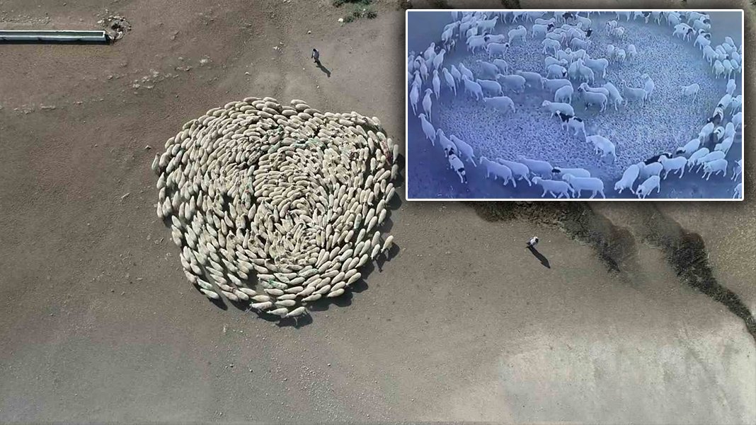 Çin'deki esrarengiz olay şimdi Amasya'da: Dakikalarca saat yönünde döndüler