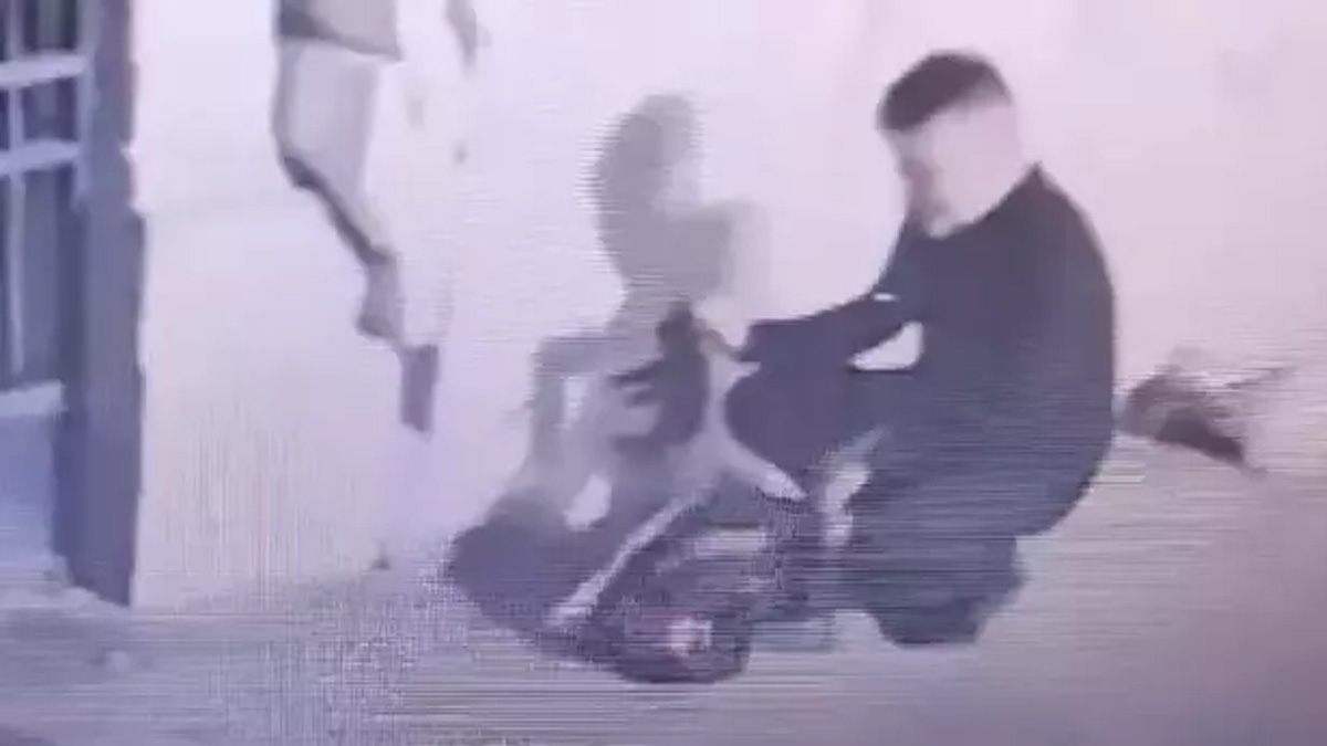 Öldürmekle tehdit etti! Yavru kediyi çantasına koyup kaçtı