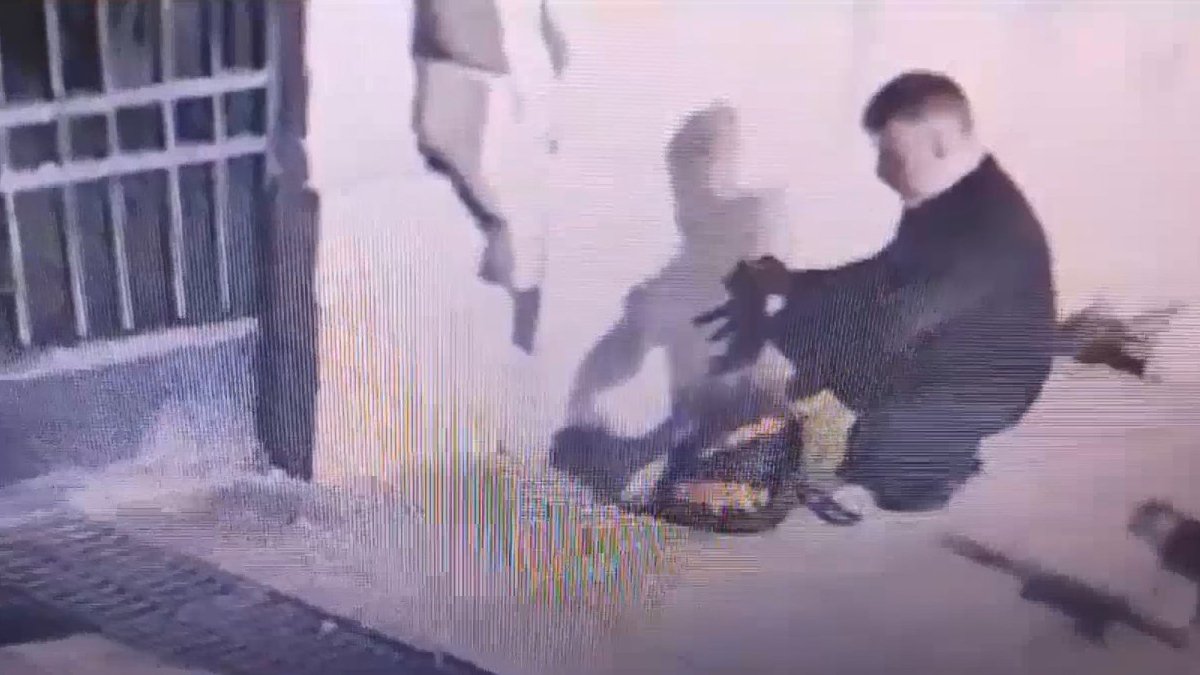 Kedi öldürdüğü iddiasıyla gözaltına alınmıştı! Şüphelinin ifadesi ortaya çıktı: Tedavi ettim...