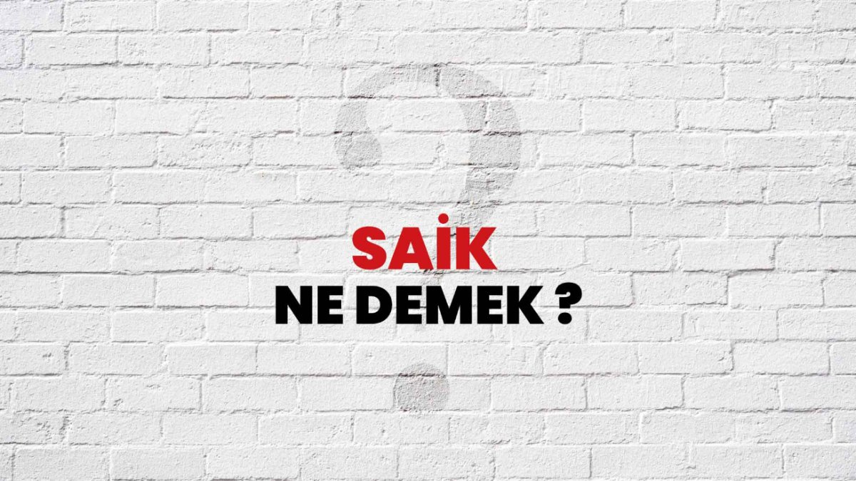 Saik Ne Demek? - Türkçede Saik Kelimesinin Anlamı