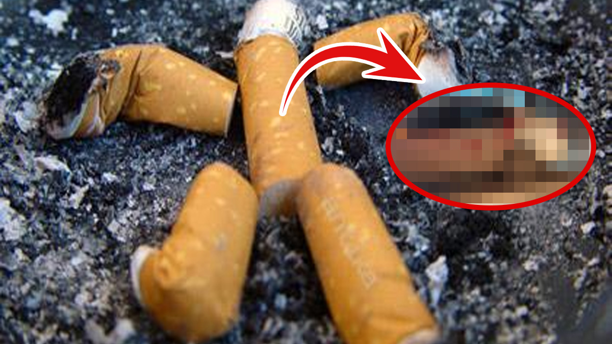 Sigarada zam kavgası kanlı bitti! 5 TL için silahlar çekildi: Sigara can almaya devam ediyor…