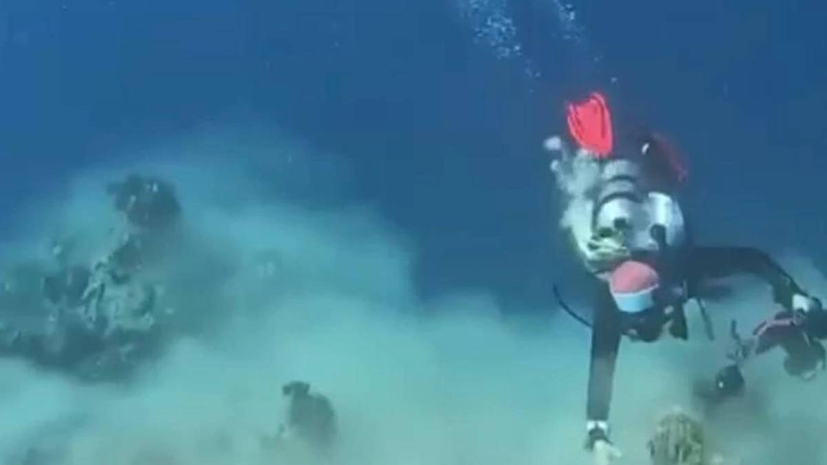 Başlarına gelecekleri bilmeden derin sulara kendilerini bıraktılar! Sonrası tam bir felaket! Dalgıçlar ne yapacağını bilemedi