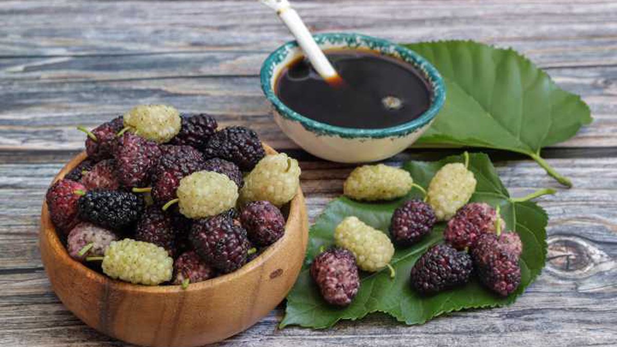 Dut pekmezi faydaları