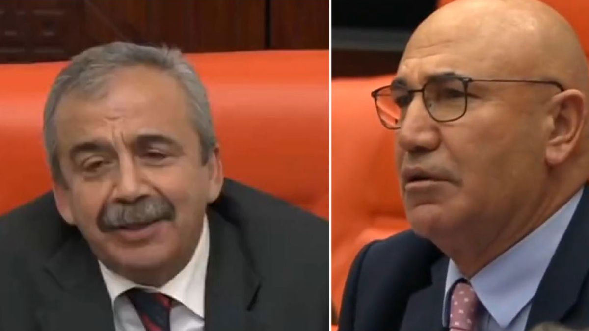 Meclis'te Sırrı Süreyya Önder fırtınası esiyor:  Davacının ahmağı derdini mübaşire anlatırmış