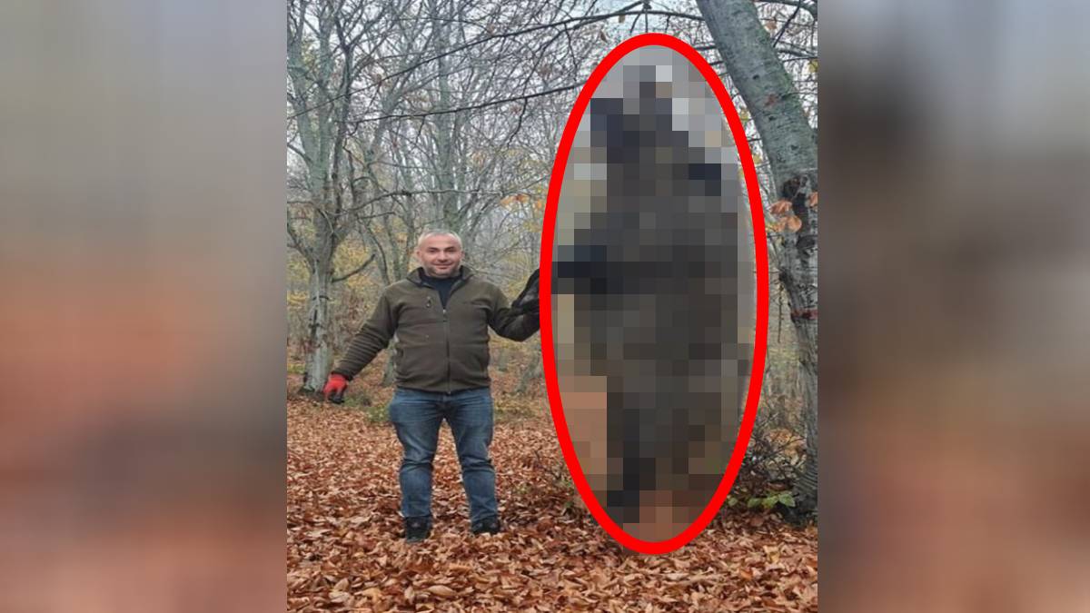 Burası Afrika veya Amerika değil Türkiye! Dev domuzu görenler gözlerine inanamadı