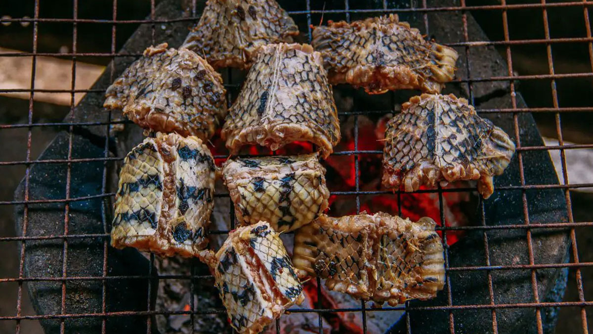 O pizza zinciri, yılan eti kullanmaya başladı! Resmen açıkladılar, menüyü seçerken dikkat edin