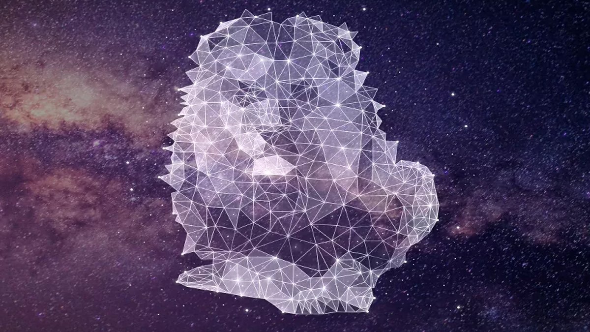 Aslan erkeği özellikleri