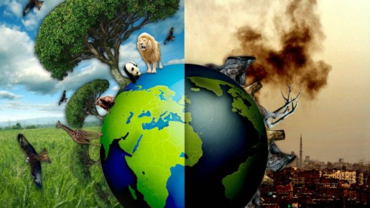 Çevre kirliliği nedir?