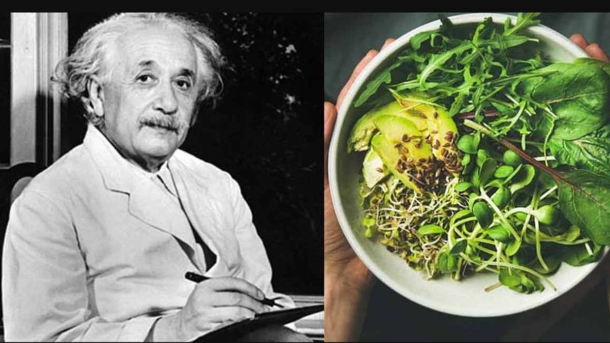 Einstein zekası istiyorsanız çocuklarınıza mutlaka yedirin! Günde 2 tane tüketenin hafızası arşa çıkıyor