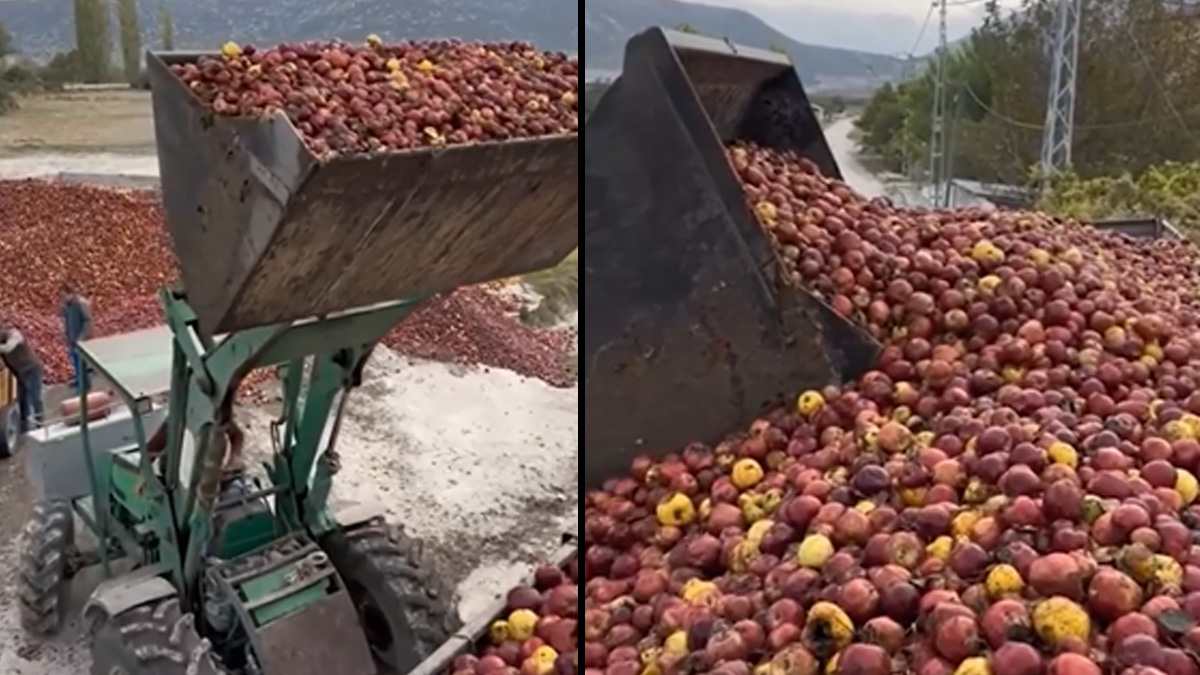 Meyve suyu alırken dikkat! Toplanan elmalar böyle görüntülendi