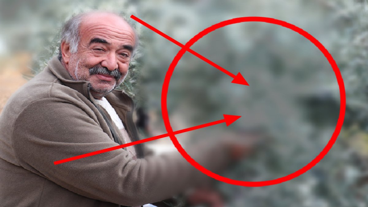 Kimse Erzurum'da yetişmez diyordu! Öyle bir şey yetiştirdiler ki... Kilosu 150 liradan satılıyor