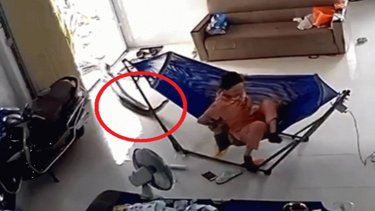 Bebeğiyle beraber uyuyan anneye dev yılan dehşeti! Metrelerce uzunluktaki dev yılan sessizce yanlarına geldi ve...